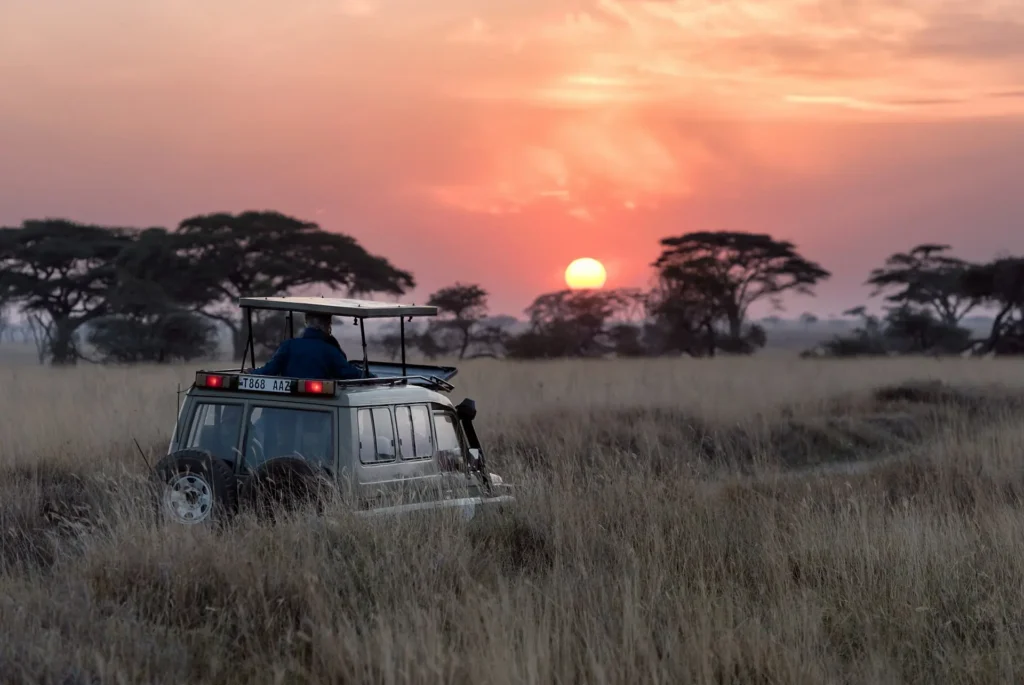 3 Day Safari Tour in Mpumalanga
